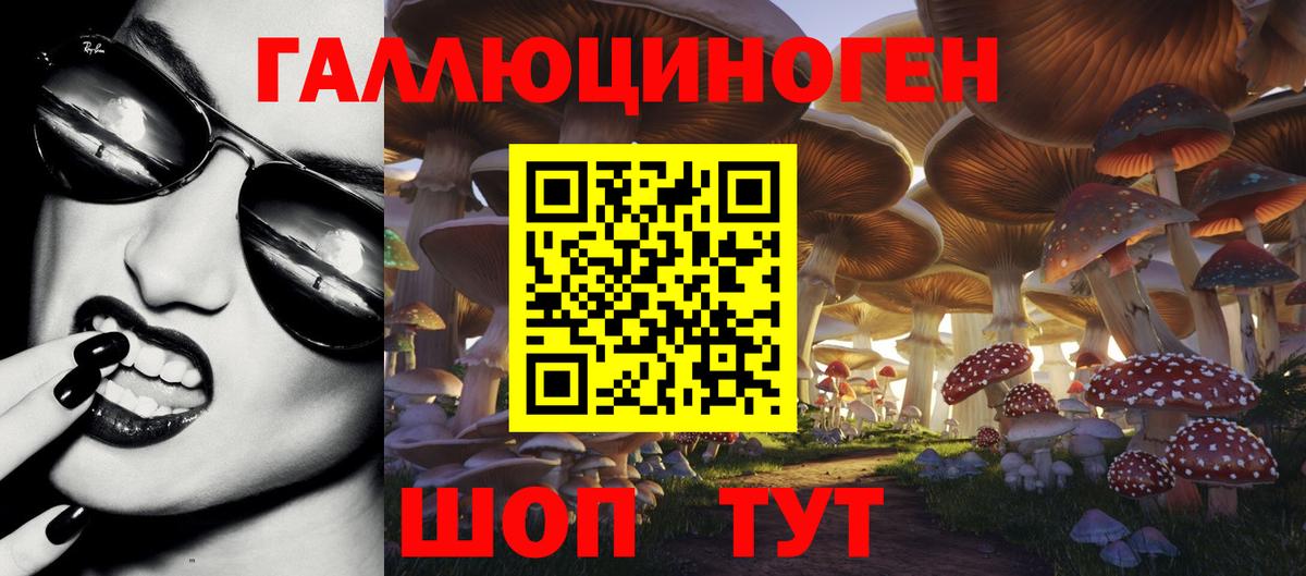 Галлюциногенные грибы Psilocybine cubensis  Вход с VPN  Славгород 