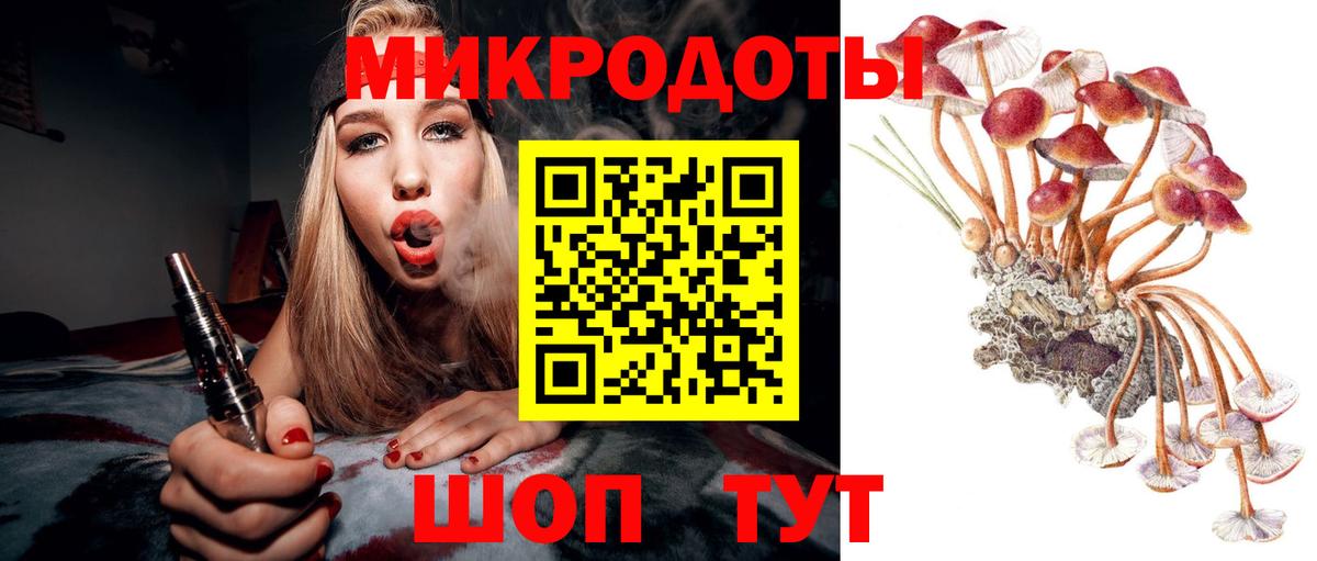 Псилоцибиновые грибы Psilocybine cubensis Славгород