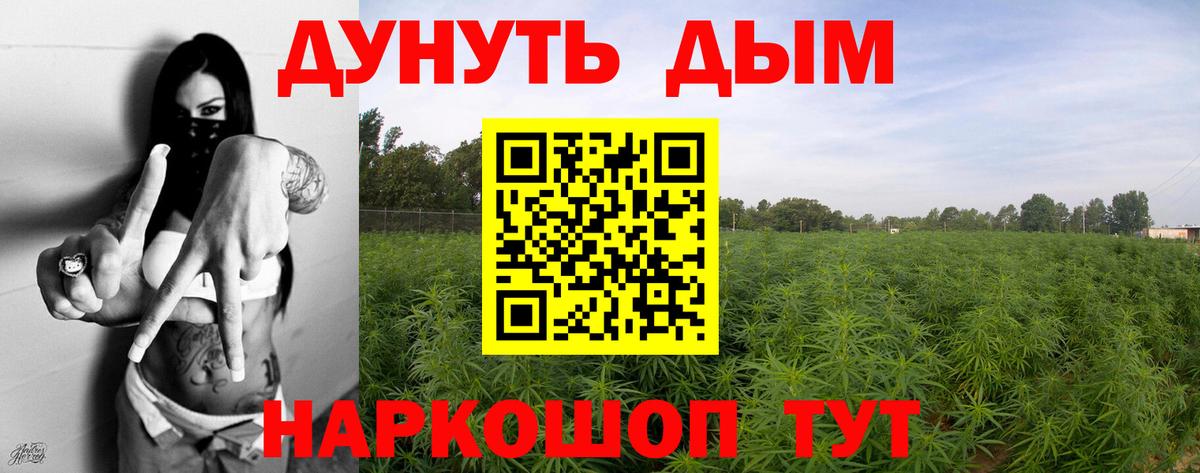 Бошки Шишки THC 21%  Каннабис SATIVA & INDICA  Бошки Шишки Ganja  Славгород  Вход с VPN  Марихуана конопля 